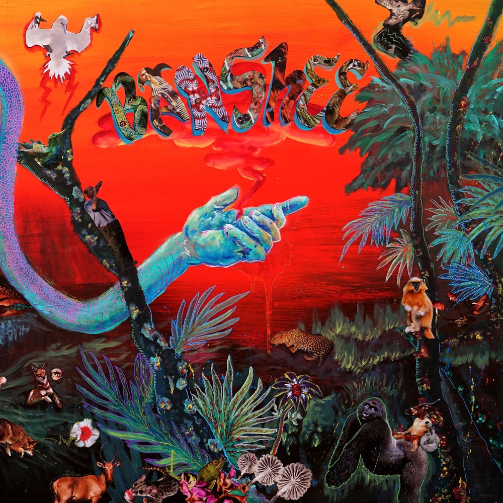 Livin' In The Jungle - Image 1