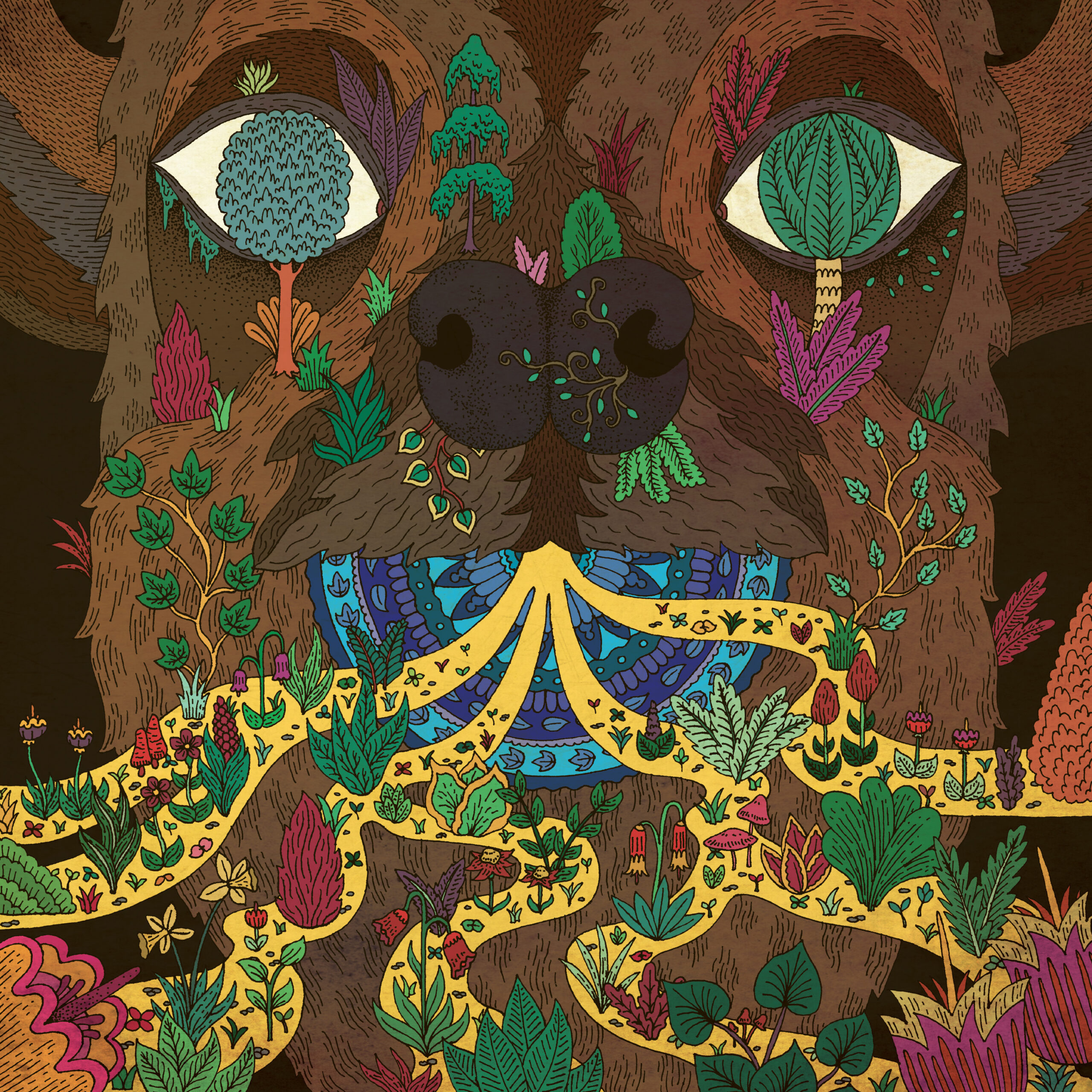Distances - Image 1
