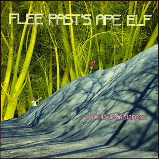 Orchid Spangiafora - Flee Pasts Ape Elf - OUT OF PRINT