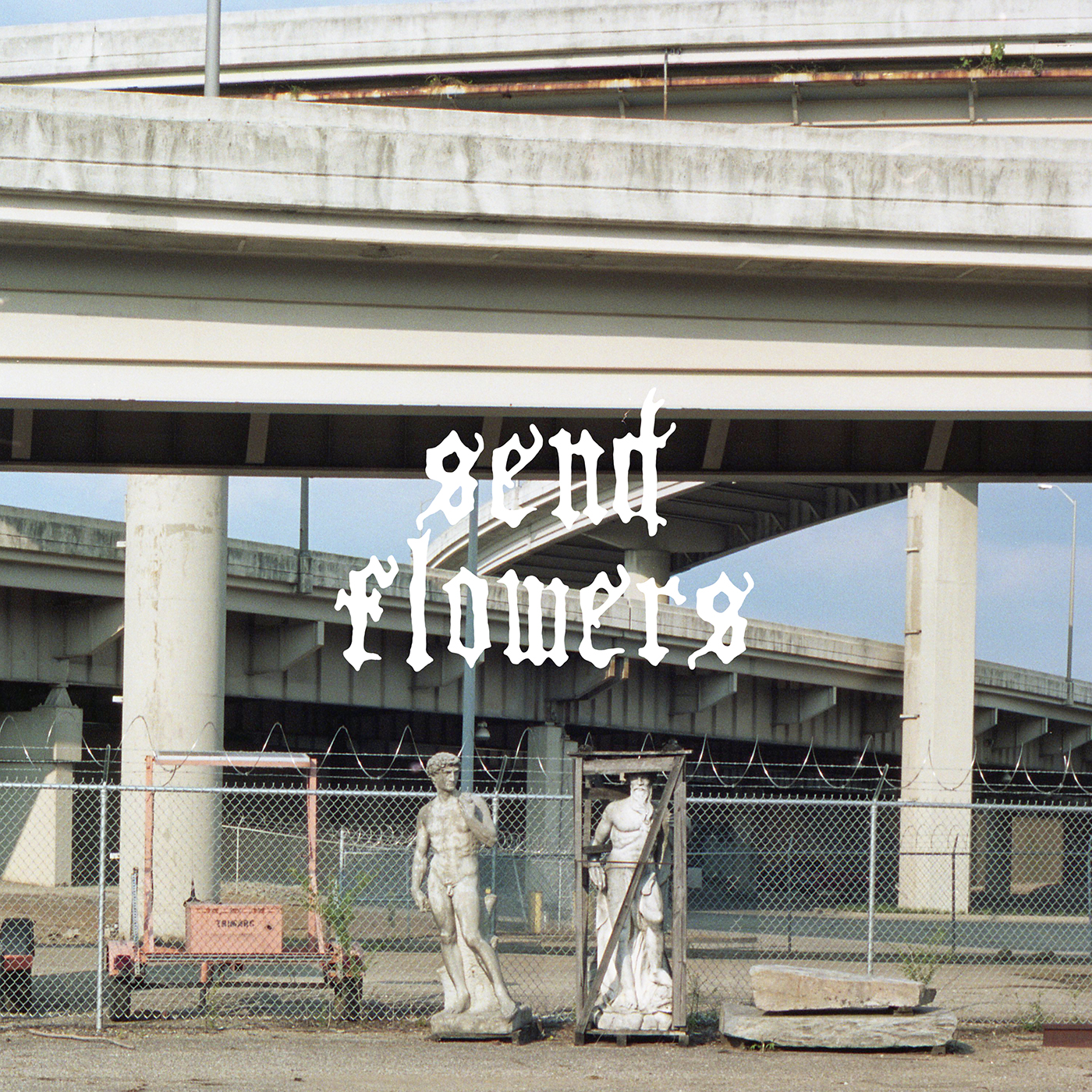Send Flowers - Image 1