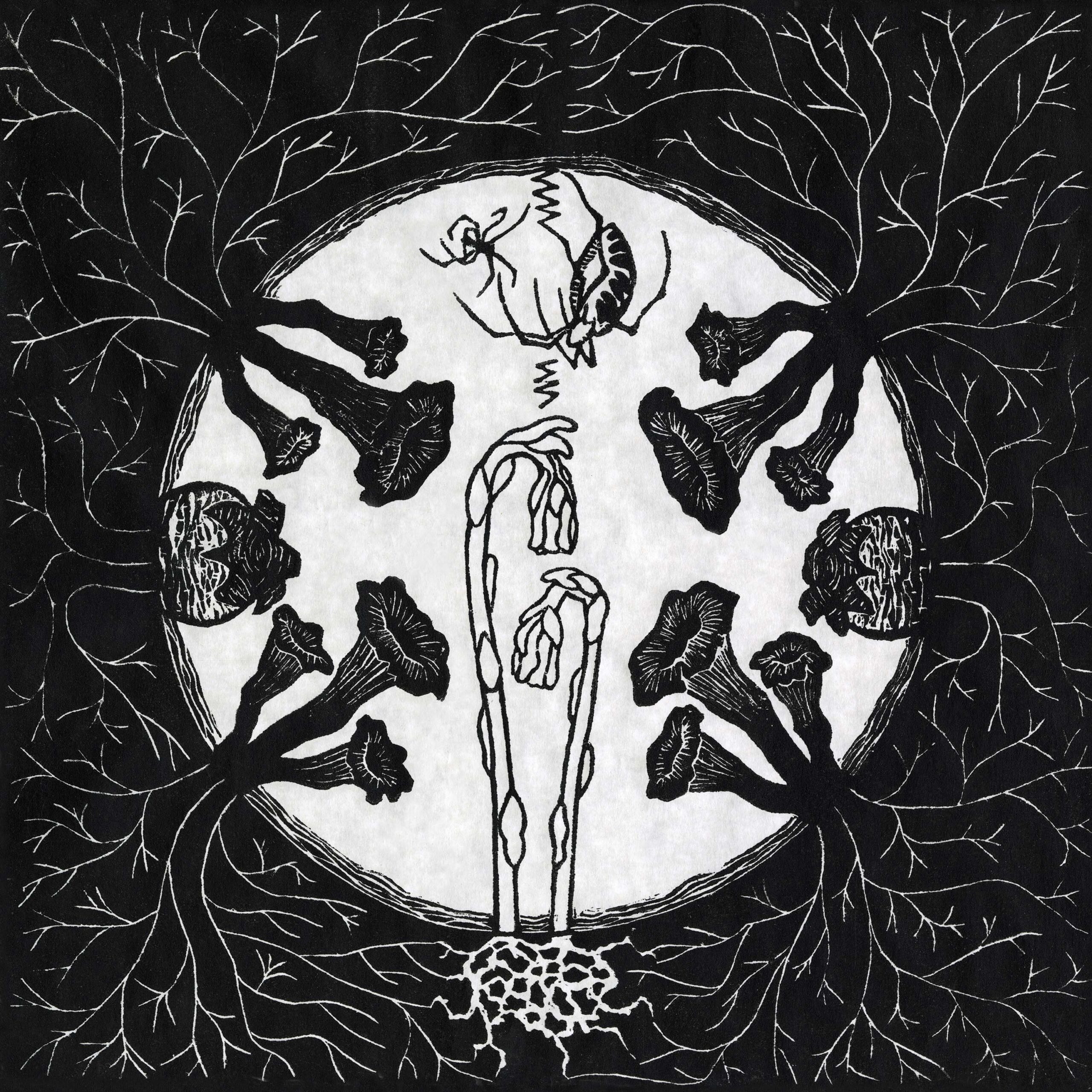 Tarantism - Image 1