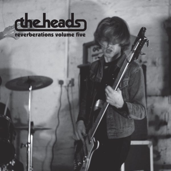 Reverberations Volume 5