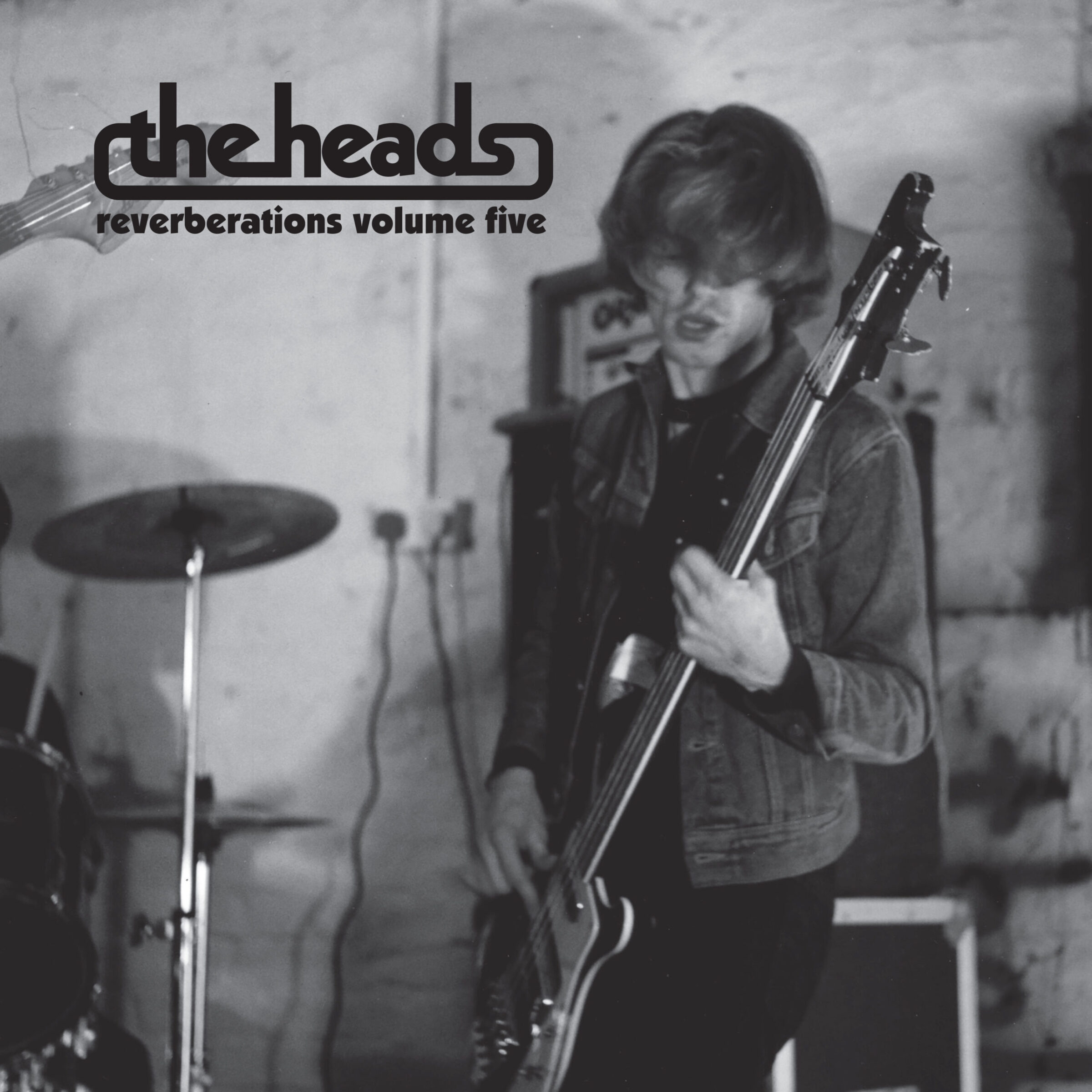 Reverberations Volume 5