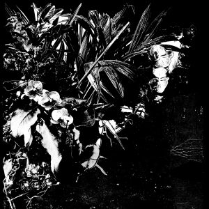 Orchid Alto - Image 1