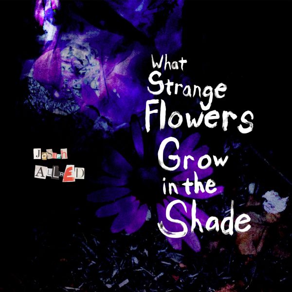 What Strange Flowers Grow In The Shade