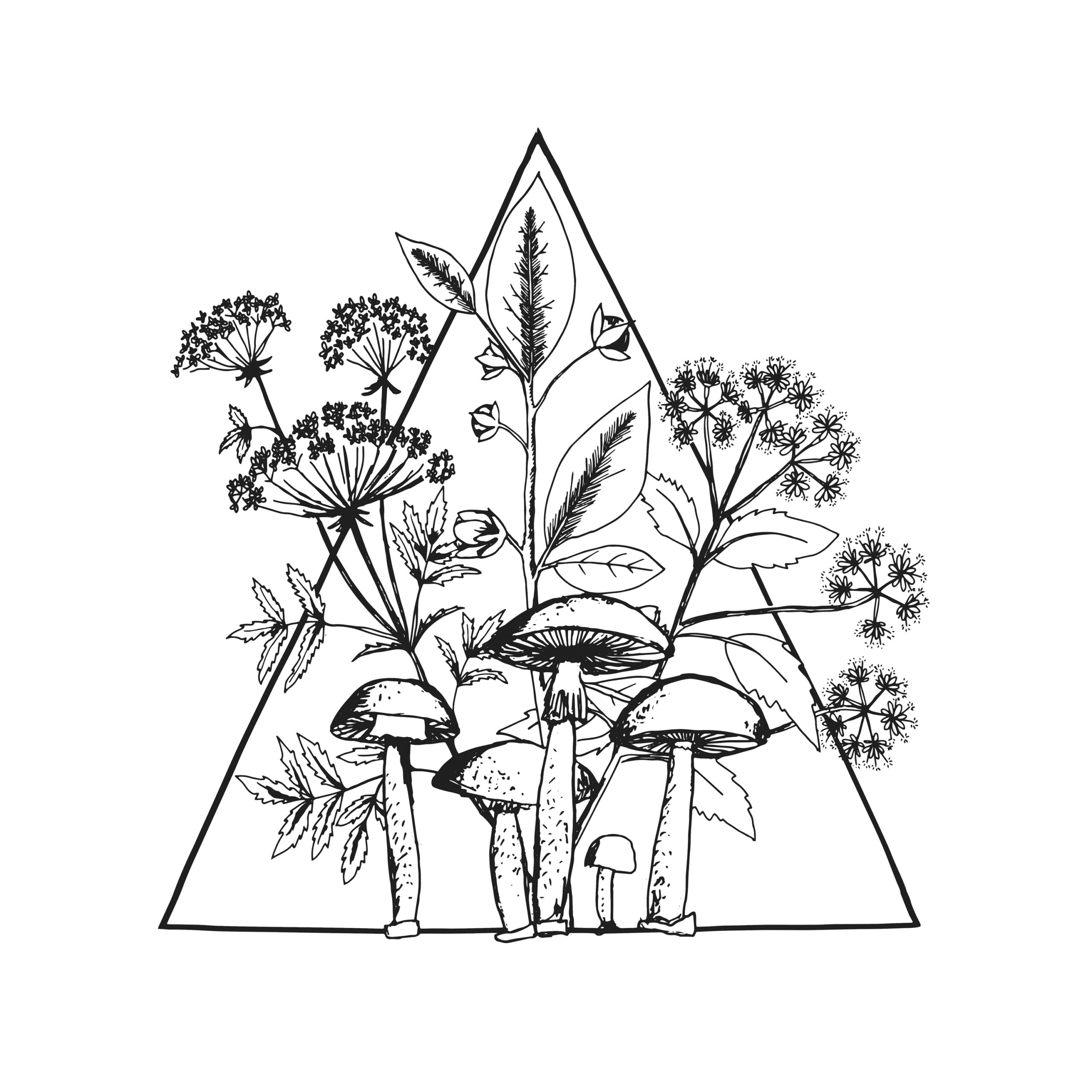 Cassette - Image 1