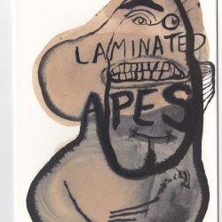 Laminated Apesthumbnail