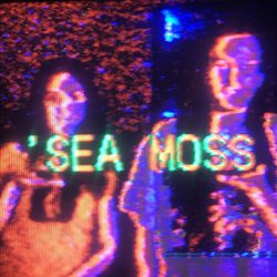 Sea Mossthumbnail