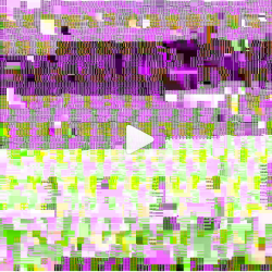 Sediment Clubthumbnail